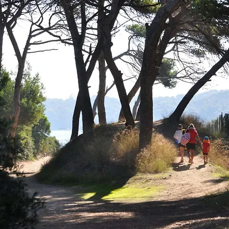Le Palm, Climatise Pour 4 Personnes Avec Vue Et Piscine Sur Le Port D'hyeres Lägenhet Hyères