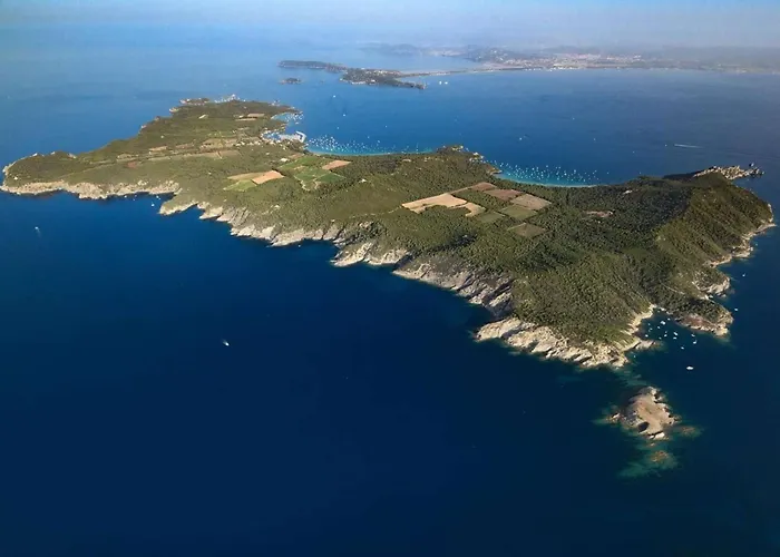 Le Palm, Climatisé Pour 4 Personnes Avec Vue Et Piscine Sur Le Port D'hyères *