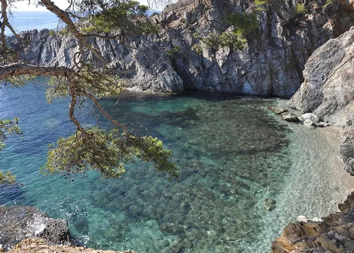 Le Palm, Climatise Pour 4 Personnes Avec Vue Et Piscine Sur Le Port D'hyeres * Hyères